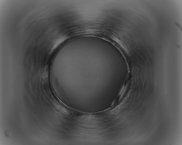 X0000091541450200709071053