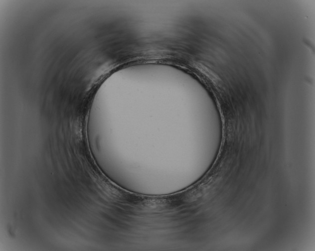 X0000091541451200709071053