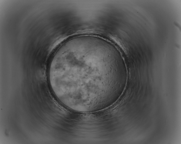 X0000091541452200709071053