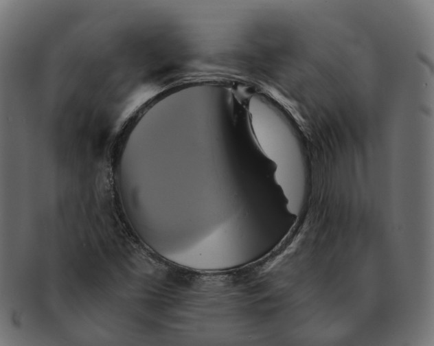 X0000091541453200709071053