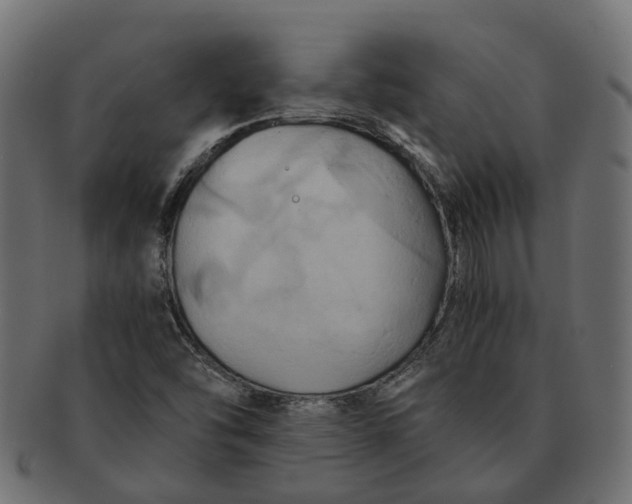 X0000091541454200709071053