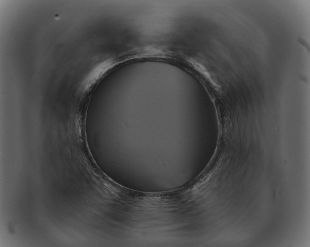 X0000091541455200709071053