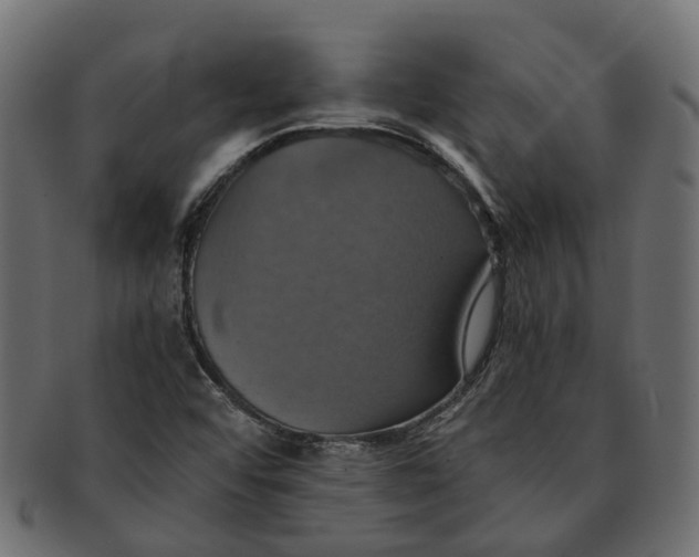 X0000091541456200709071053