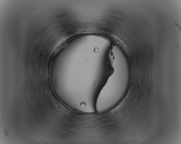 X0000091541457200709071053