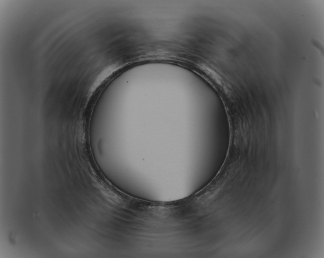 X0000091541458200709071053