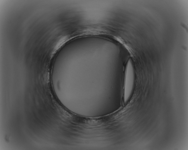 X0000091541459200709071053