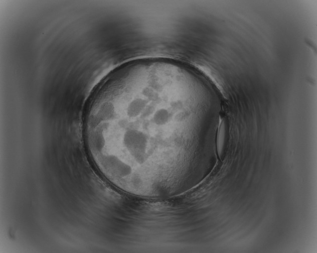 X0000091541460200709071053