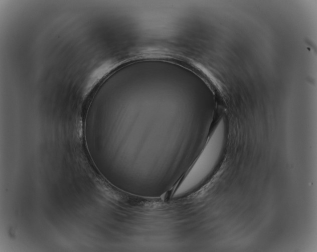 X0000091541461200709071053