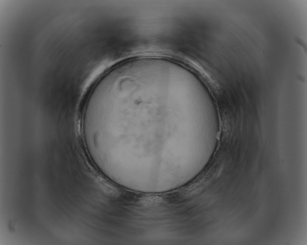 X0000091541462200709071053