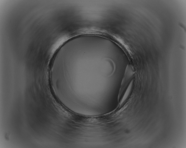 X0000091541463200709071053