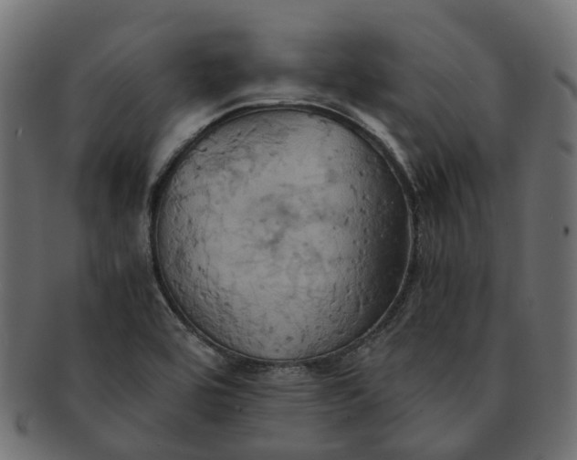 X0000091541464200709071052