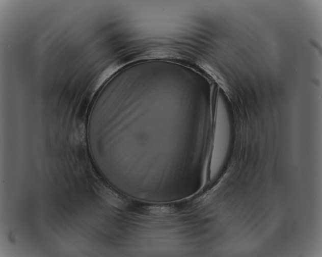 X0000091541465200709071052