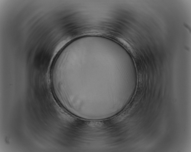 X0000091541466200709071052