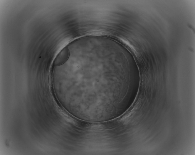 X0000091541467200709071052