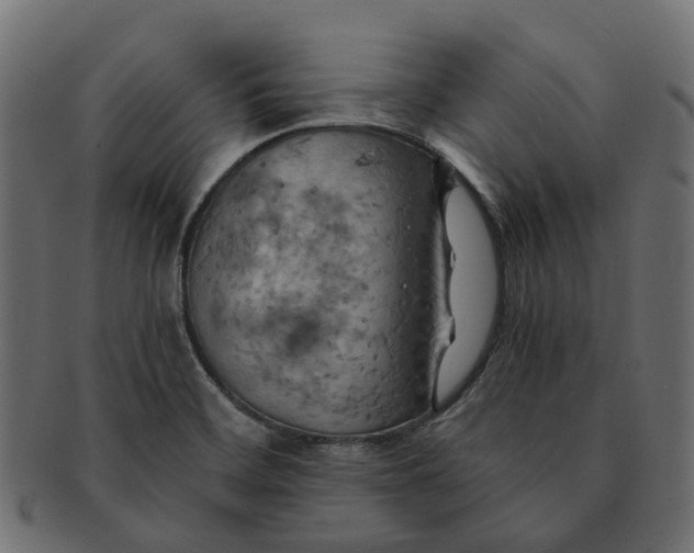 X0000091541468200709071052