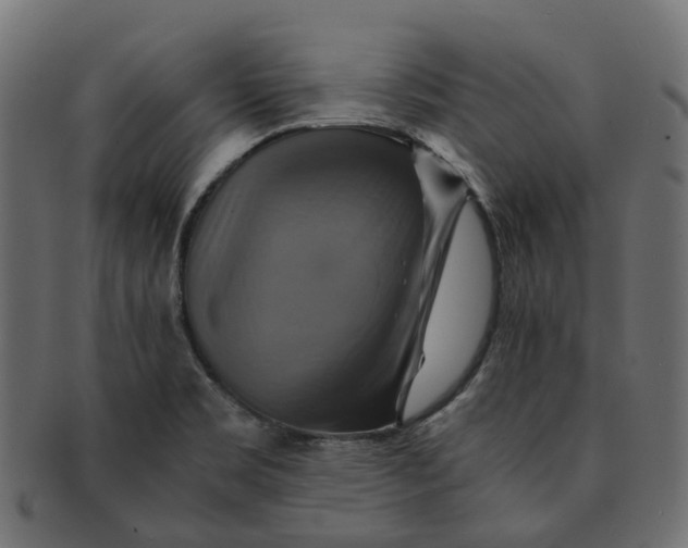 X0000091541469200709071052