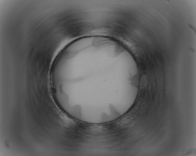 X0000091541470200709071052