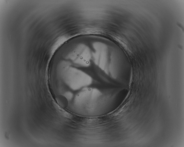 X0000091541471200709071052