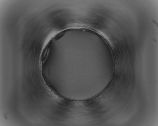 X0000091541472200709071052