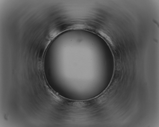 X0000091541473200709071052