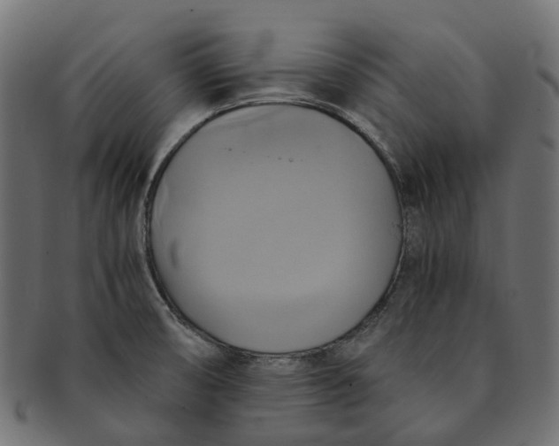 X0000091541474200709071052