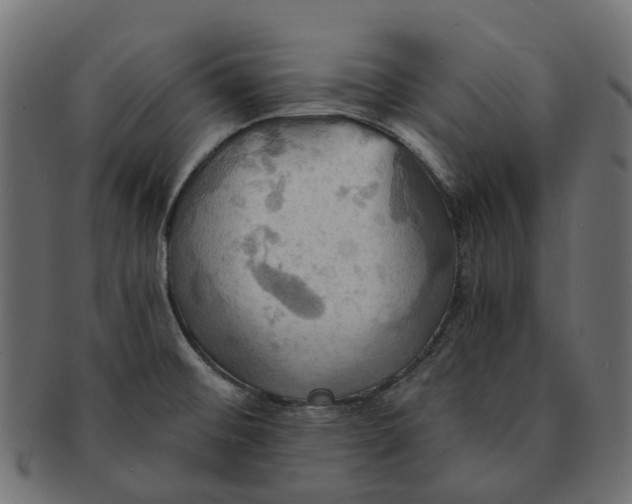 X0000091541476200709071052