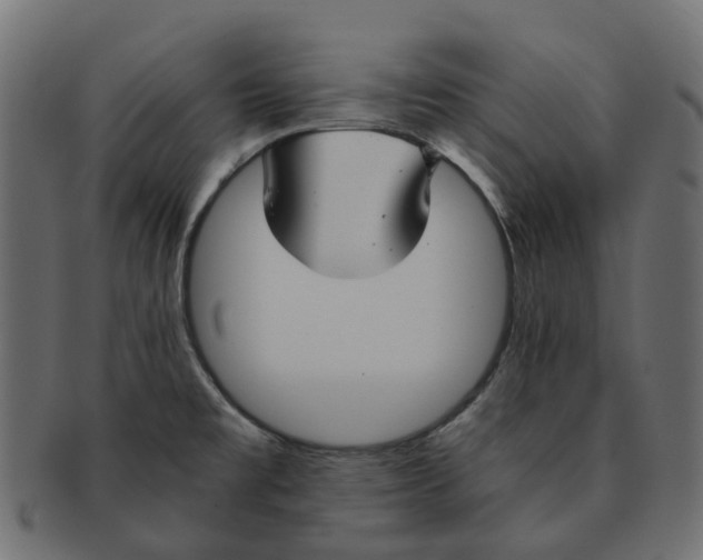 X0000091541477200709071052