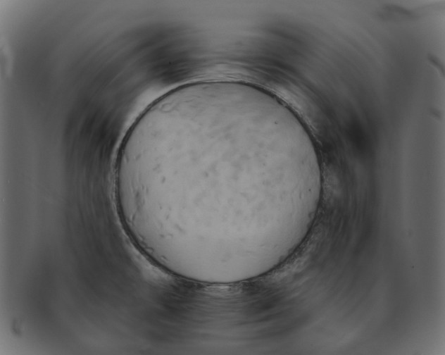 X0000091541478200709071052