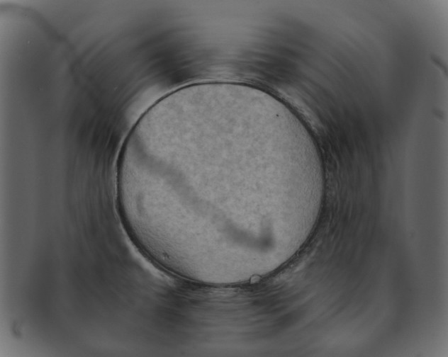 X0000091541479200709071052