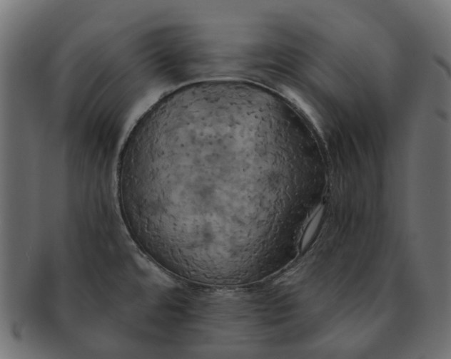 X0000091541480200709071052