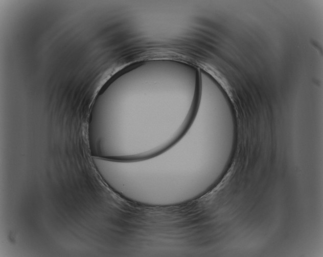 X0000091541481200709071052