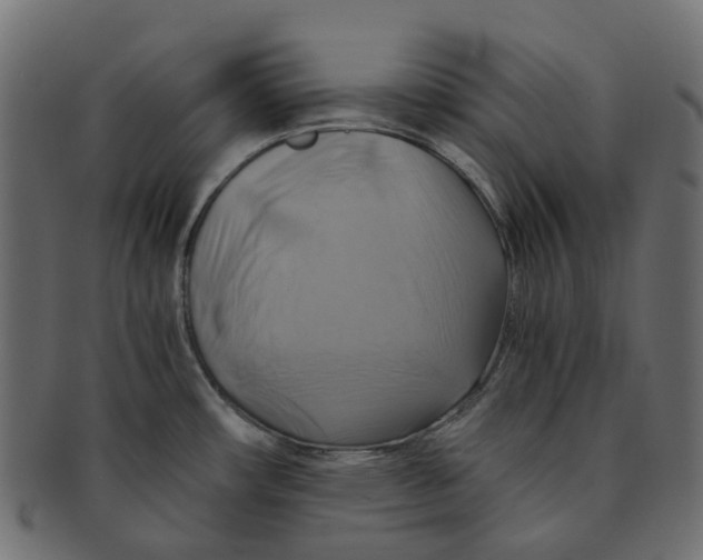 X0000091541482200709071052