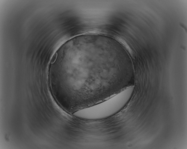 X0000091541483200709071052