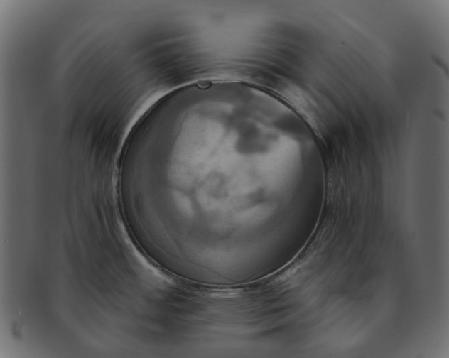 X0000091541484200709071052