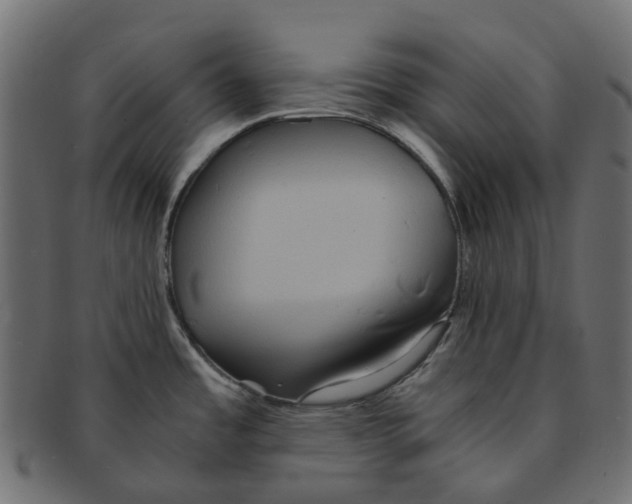 X0000091541485200709071052