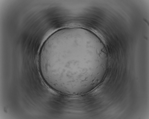 X0000091541486200709071052