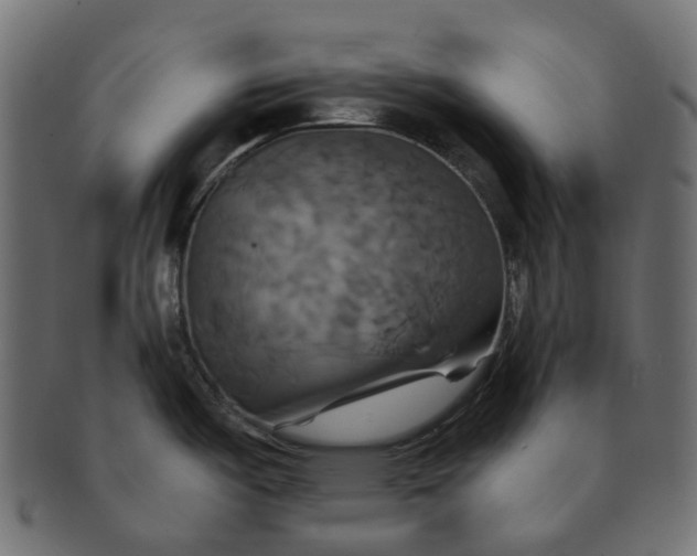 X0000091541487200709071052