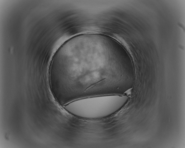 X0000091541488200709071052