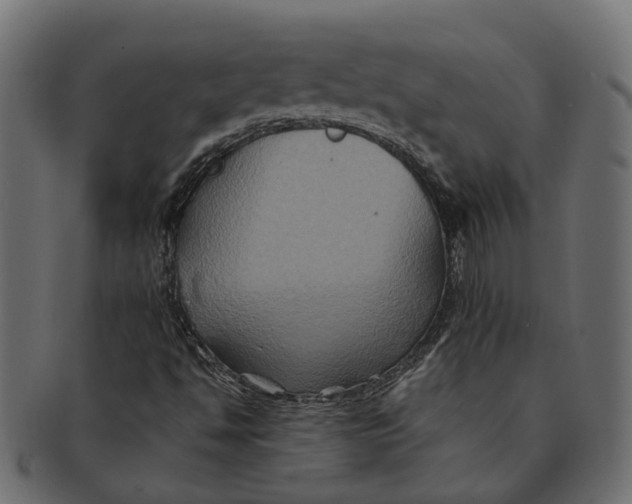 X0000091541494200709071052