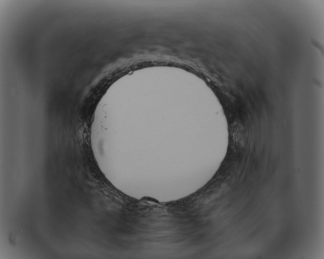 X0000091541495200709071052