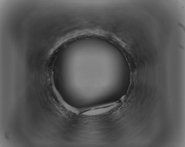 X0000091541496200709071052