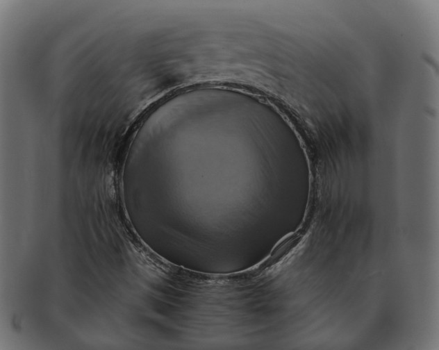 X0000091541497200709071052