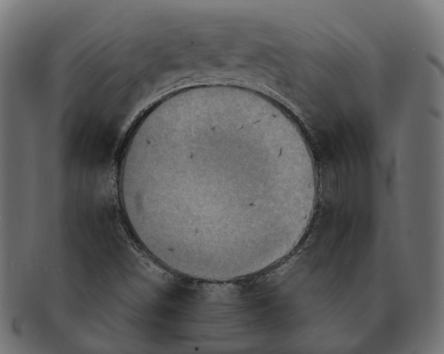 X0000091541498200709071052