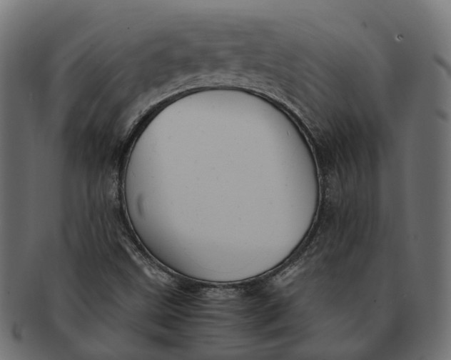 X0000091541499200709071052