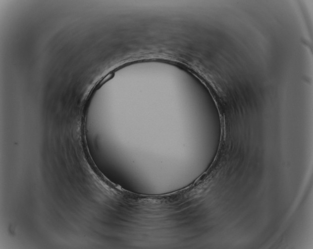 X0000091541500200709071052