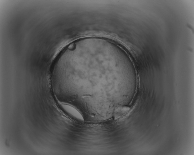 X0000091541501200709071052