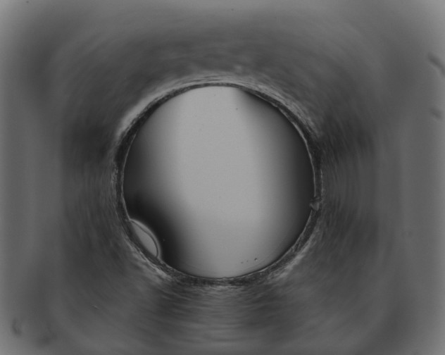 X0000091541502200709071052