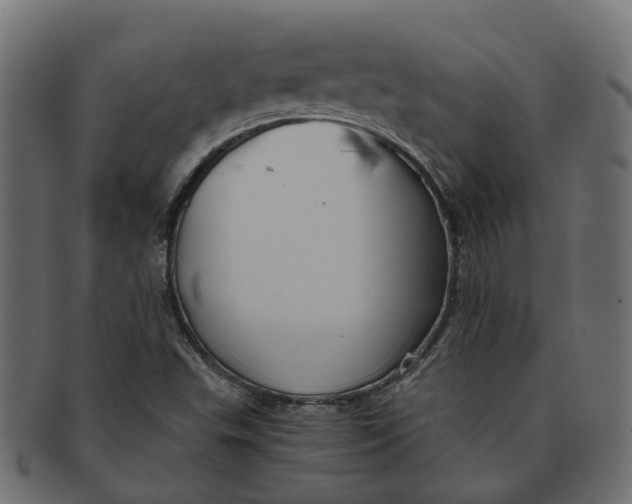 X0000091541503200709071052