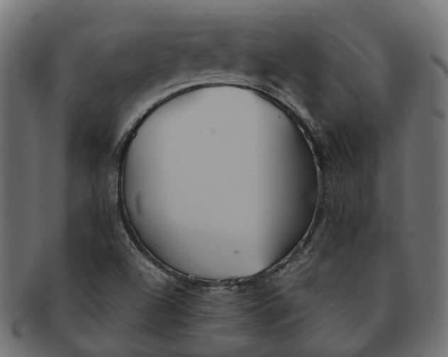 X0000091541504200709071052