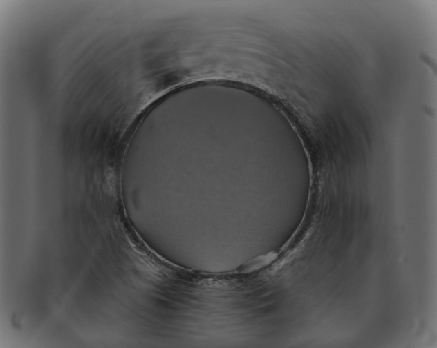 X0000091541505200709071052